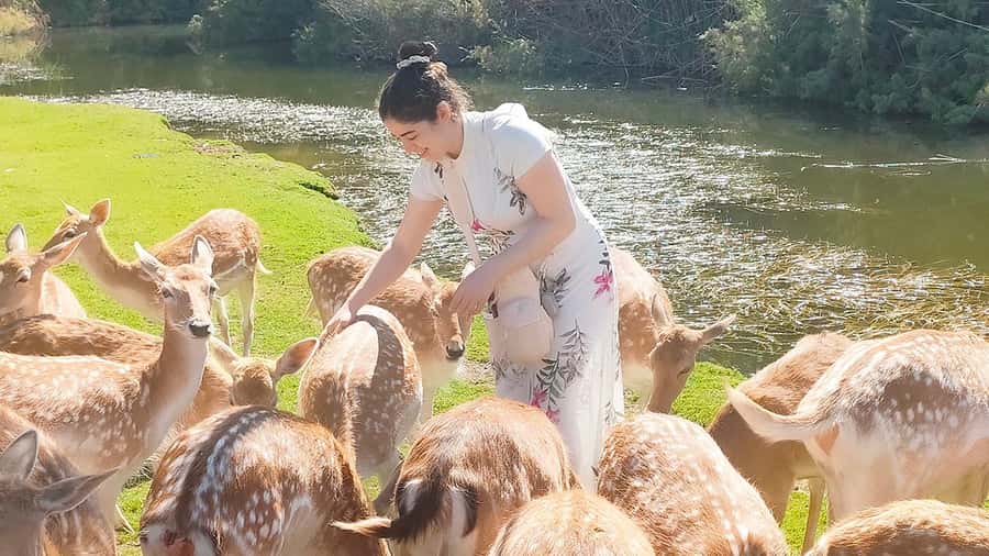Cairo: Guided Day Trip to Africa Safari Park with Lunch - Key points to know before you go