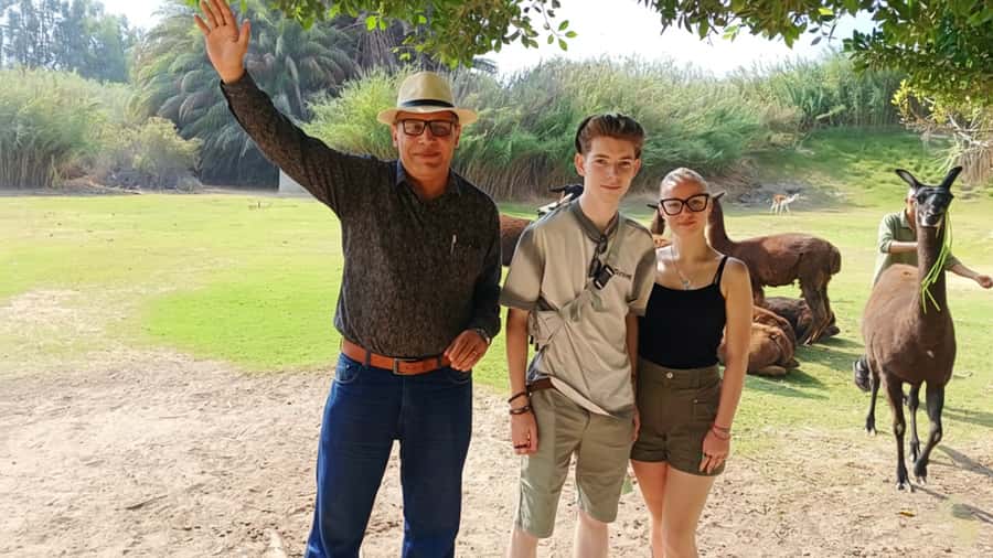 Cairo: Guided Day Trip to Africa Safari Park with Lunch - Animals you can expect: reptiles, turtles, falcons, and more
