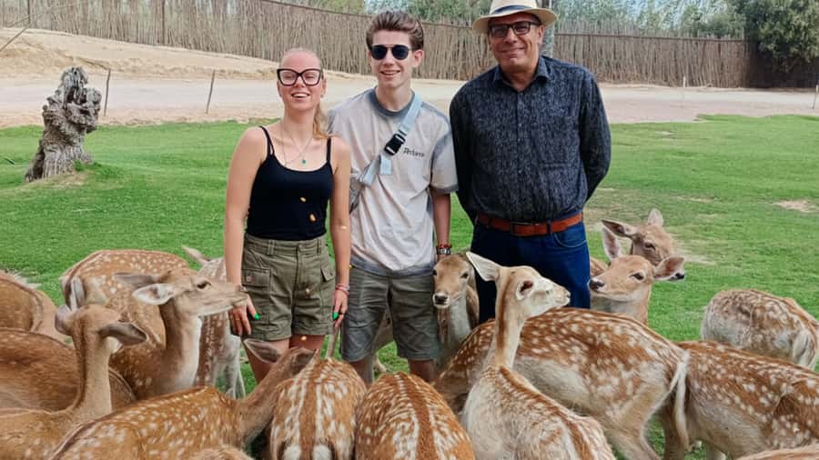 Cairo: Guided Day Trip to Africa Safari Park with Lunch - Best for families, animal lovers, and first-timers to open zoos