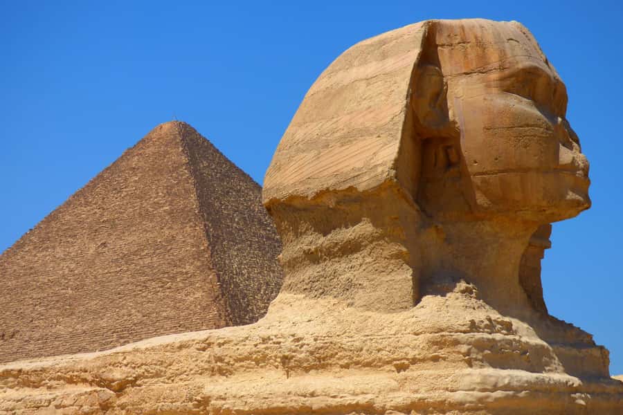 Cairo: Half Day Pyramids Tour by Camel or Horse Carriage - What the best guides do differently (and why it changes your whole day)