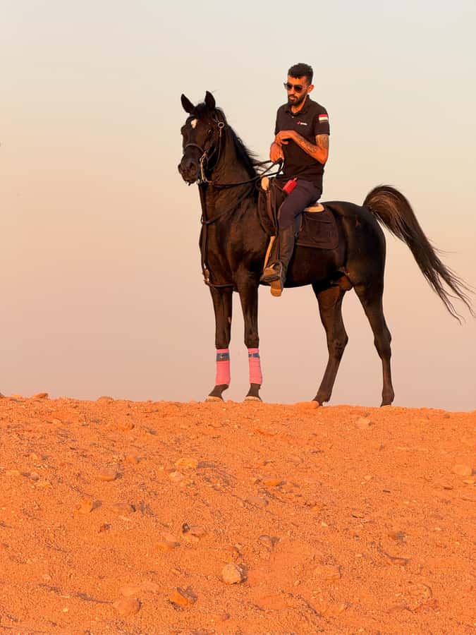 Cairo: Horse Riding tour at Pyramids of Giza - The bottom line: should you book this Giza horse ride?
