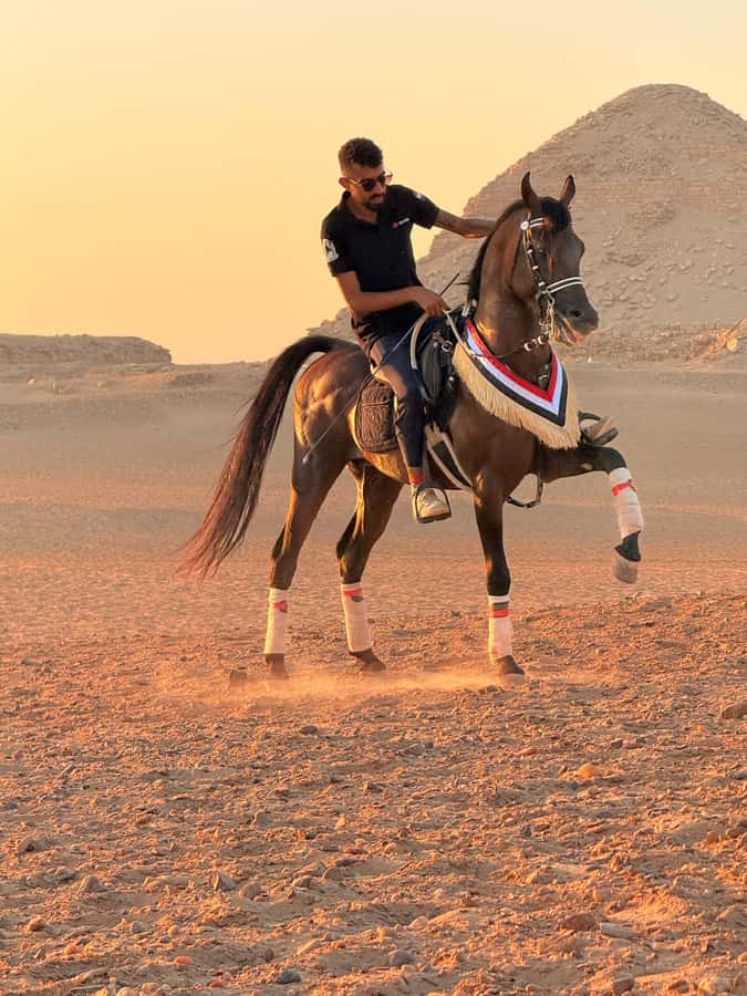 Cairo: Horse Riding tour at Pyramids of Giza - FAQ