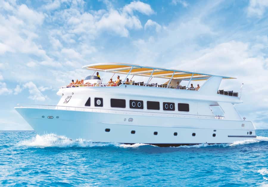 Cairo: Luxury Snorkeling Cruise & lunch with optional pickup - Two snorkeling stops with a real guide, not guesswork
