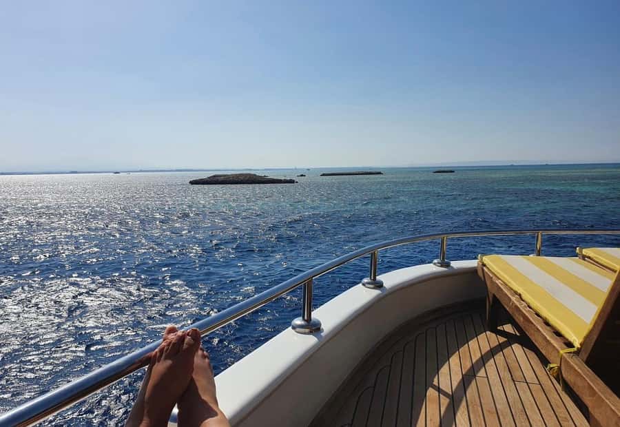 Cairo: Luxury Snorkeling Cruise & lunch with optional pickup - Is this cruise good for families and mixed snorkeling levels?