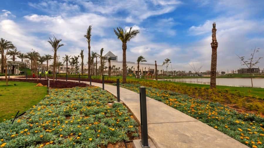 Cairo: National Museum and Egyptian Museum Tour with Lunch - Price and value at $99 per person, plus what can cost extra