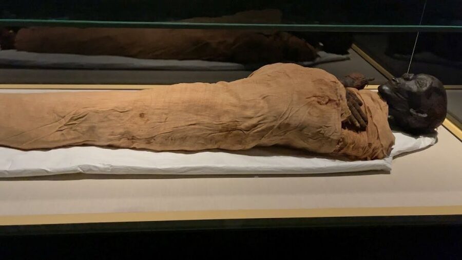 Cairo: National Museum of Egypt Skip-the-Line QR Ticket - Key takeaways before you go