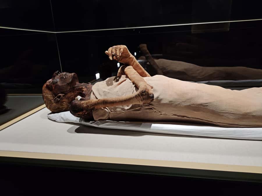 Cairo: National Museum of Egyptian Civilization Entry Ticket - What you’ll actually see inside, from prehistory to mummies and pharaohs
