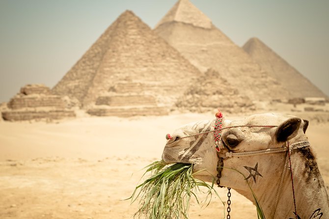 Cairo Private Tours To Giza Pyramids,Egyptian Museum & Bazaar - Using your time at Giza Plateau and the panoramic view