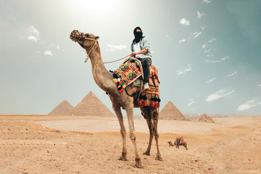 Cairo: Pyramids, Bazaar, Citadel Tour with Photographer - Giza Plateau: skip-the-line entry and the right way to take in the Great Pyramids and Sphinx