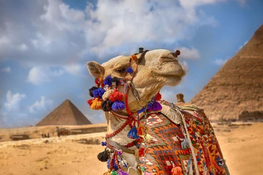Cairo: Pyramids & Great Sphinx Private Tour with Camel Ride - Key things that make this tour worth your time