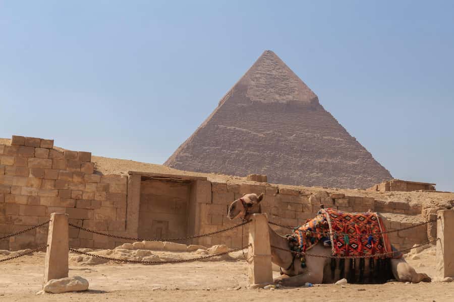 Cairo: Pyramids, Sphinx & Grand Egyptian Museum Private Tour - Additional museum highlights you get to name-check