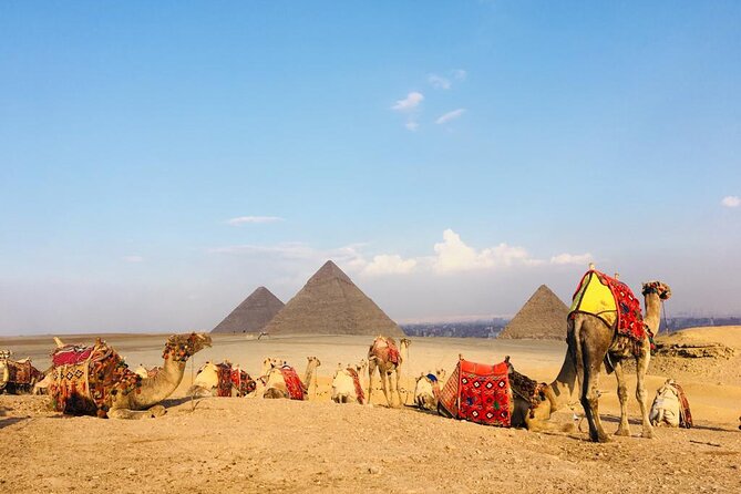 Cairo Sightseeing Tour (Giza Pyramids + Museum + Khan el Khalili Bazaar) - Should You Book This Cairo Day Tour?