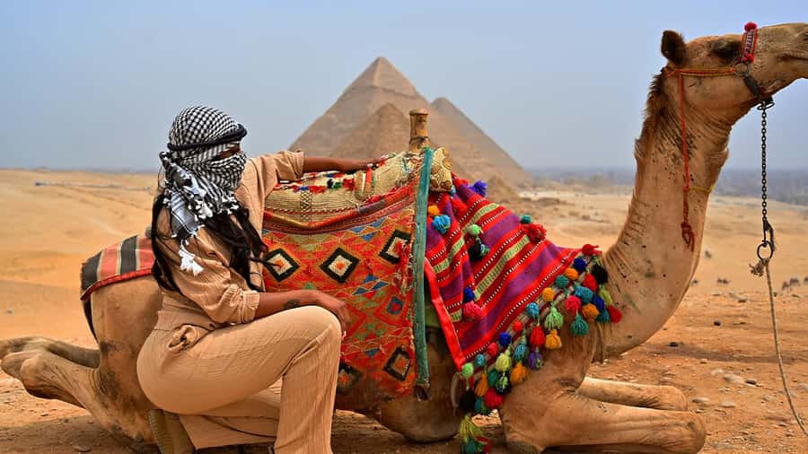 Cairo: Sunrise Camel Ride, Pyramids Tour & Local Breakfast. - Sunrise Giza, up close