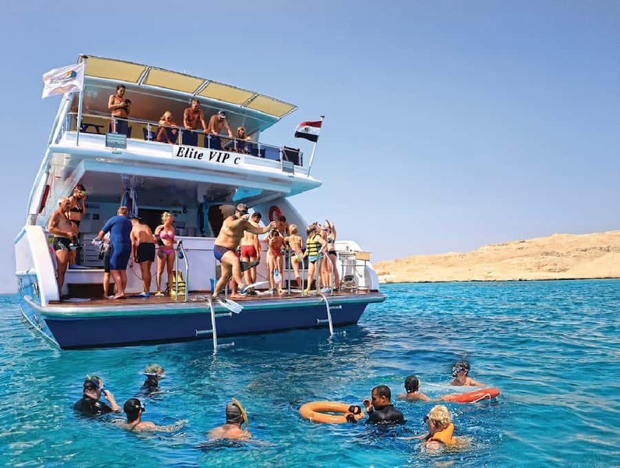Cairo to Red Sea: VIP Yacht Cruise, Snorkeling & Lunch - Price and value: why $44 can make sense here
