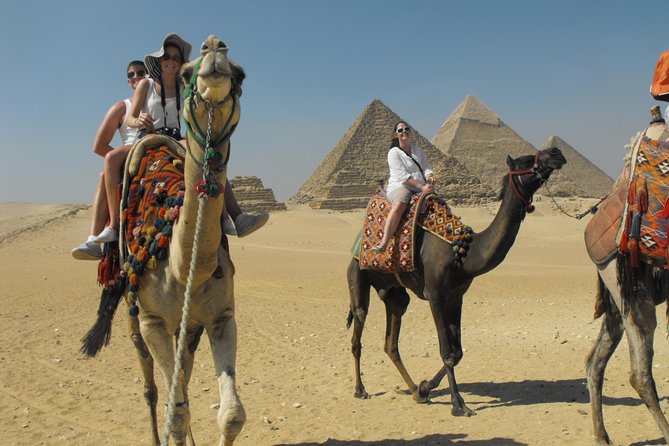 Cairo Transit Tours From Cairo International Airport - Egyptian Museum time: seeing the big names efficiently