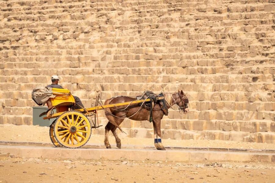Cairo: Trip Pyramids, Sakkara, & Memphis Tour with Lunch - Memphis: Ramses II and the Alabaster Sphinx