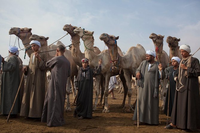 Cairo Unusual Day Tour Visit Camel Market in Birqash - Key things to know before you go