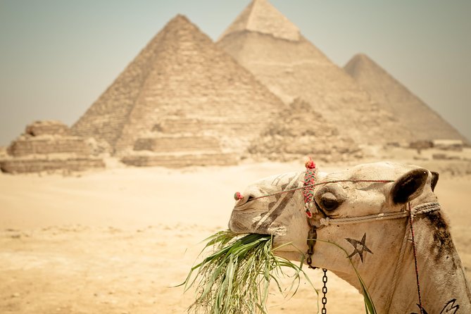 Camel Ride around the Pyramids During Sunrise Or Sunset - Sunrise or sunset camel rides at Giza: why this timing is worth it