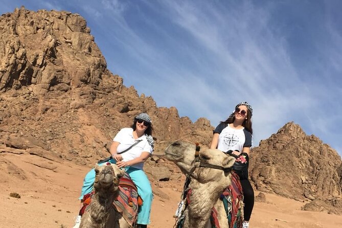 Camel ride & Bedouin dinner quad safari in Sharm el Sheikh - Who This Quad and Camel Safari Fits Best