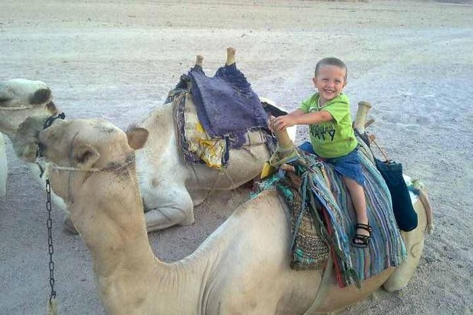 Camel ride & Bedouin dinner quad safari in Sharm el Sheikh - Bedouin Village Tea and Camel Time in the Evening