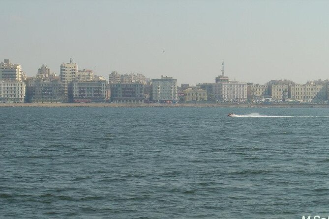 Cleopatra’s & Alexander The Great’s Alexandria Sites – Day Trip From Cairo - Bibliotheca Alexandrina: A Modern Library That Still Feels Like a Time Machine