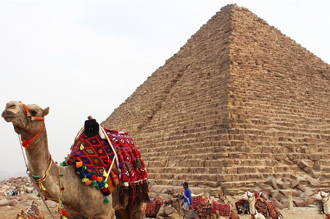 Day Tour To Cairo From Alexandria - Guides and Drivers: The Real Quality Signal