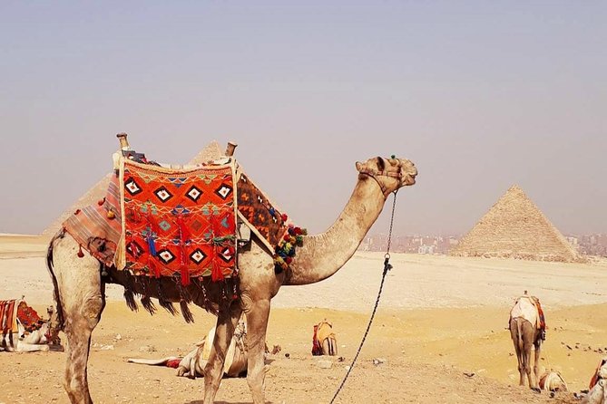 Day Tour to Giza Pyramids by Camel - The 30-minute camel ride: enough time for the moment, not the ordeal