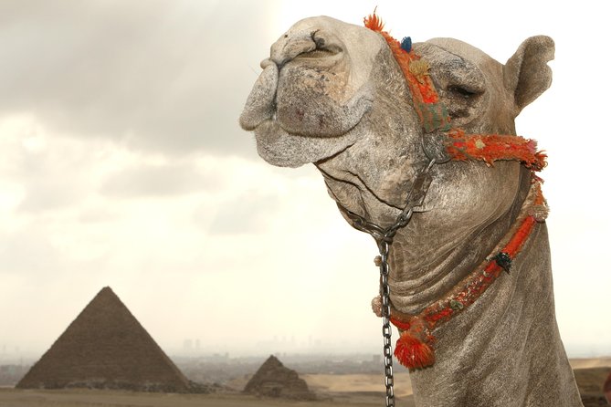 Day tour to Pyramids from Alexandria Port - The drive to Giza: use it, don’t waste it
