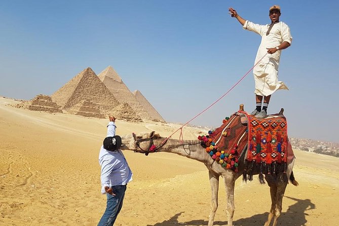Day Tour To Pyramids of Giza and Egyptian Museum - Great Sphinx stop: short visit, big meaning