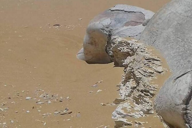 Day Trip To Bahariya Oasis Visit Black And White Desert From Cairo - White Desert: the rock “characters” you will actually remember