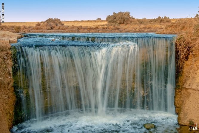 Day Trip To Fayoum From Cairo with lunch - Wadi Hitan (Valley of the Whales) and Mudawara Mountain stops