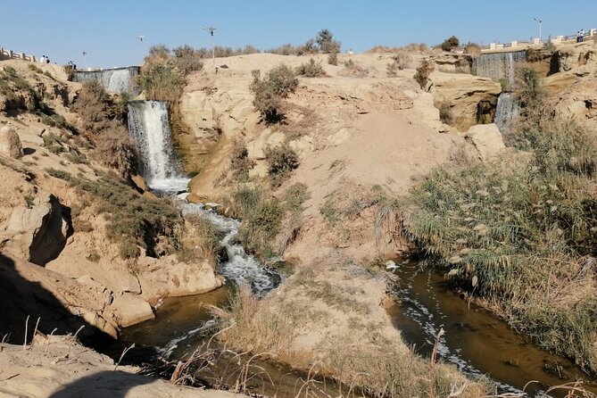 Day Trip To Fayoum From Cairo with lunch - Sand boarding included: fun, but check the expectations