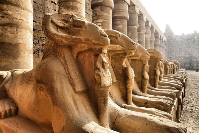 Day Trip To Luxor From Cairo By Plane - Colossi of Memnon: a quick stop that still feels big