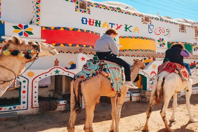 Day Trip to Nubian Village with Camel Tour from Aswan - From Aswan pickup to Nubian Village, the day stays simple