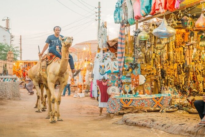 Day Trip to Nubian Village with Camel Tour from Aswan - Should you book? My take
