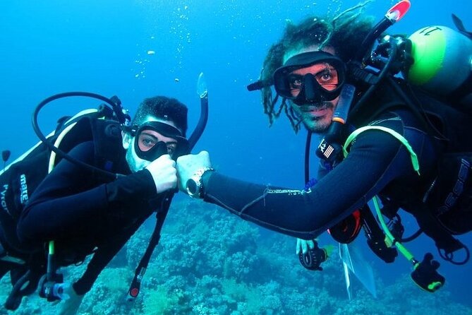Discover Scuba Diving - Shore-only reef time: coral, schools of fish, and real instruction
