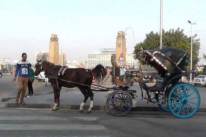 Discover The Amazing Nightlife Of Cairo And Riding the Carriage - Downtown Walking Tour: El Tahrir Square and Shopping Streets