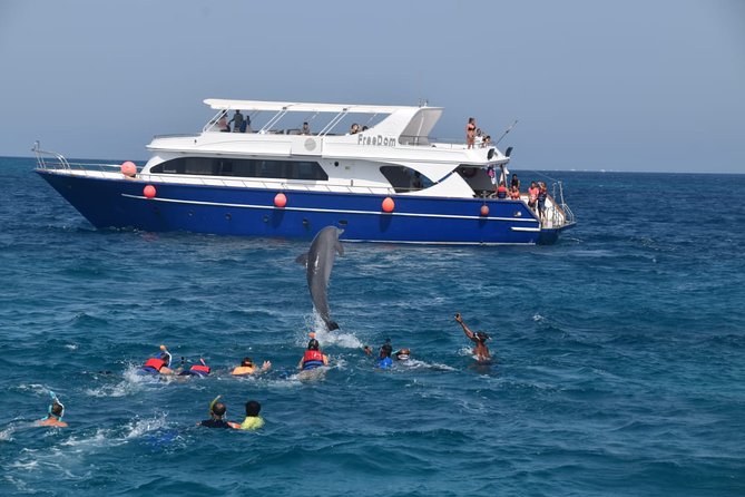 Dolphin House and Banana Boat Fun from Hurghada - Key things that make this trip worth your time