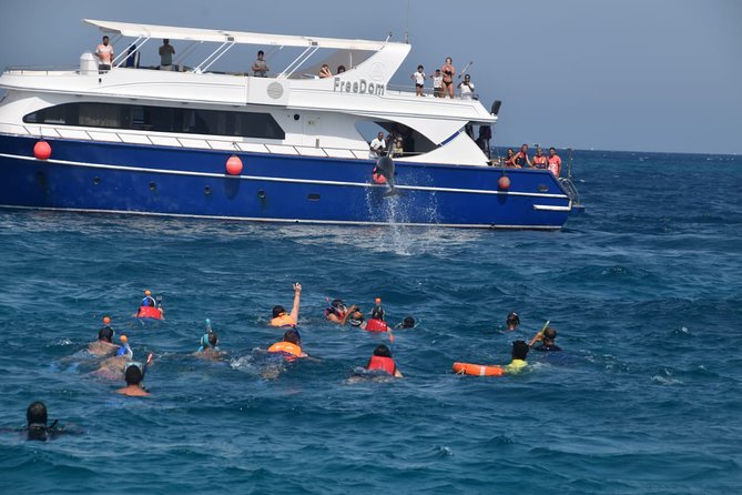 Dolphin House and Banana Boat Fun from Hurghada - Dolphin House and the Red Sea promise you are actually buying