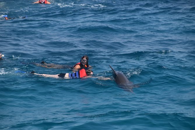 Dolphin House and Banana Boat Fun from Hurghada - Dolphin House swim and safety, what to expect when the dolphins appear