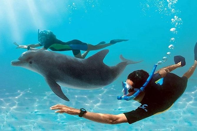 Dolphin House By Private Speed Boat & Drinks & Transfer-Hurghada - Key highlights you’ll care about