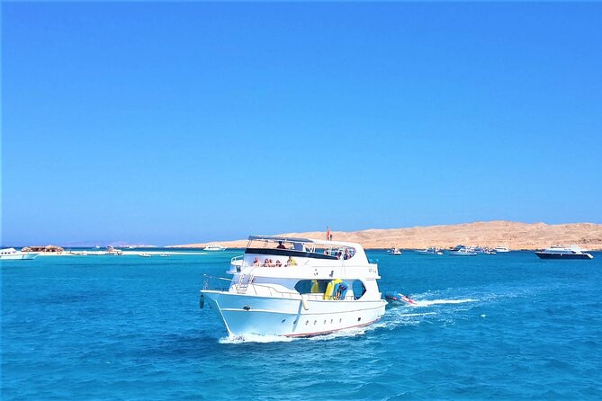 Dolphin House By Private Speed Boat & Drinks & Transfer-Hurghada - Price and value: what $50 really buys you