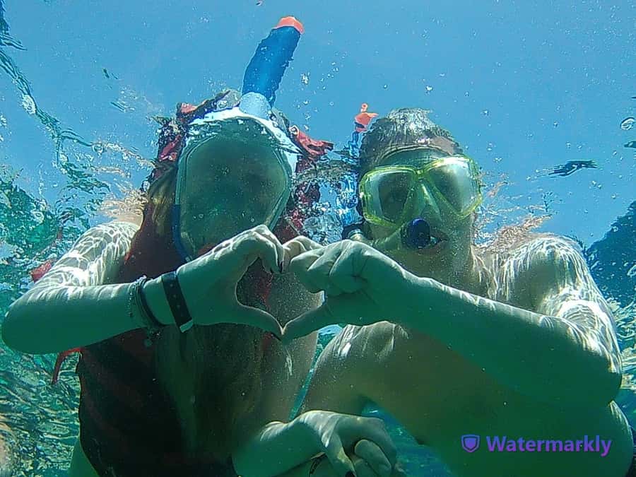 Dolphin house snorkeling trip - Languages and guidance on the day