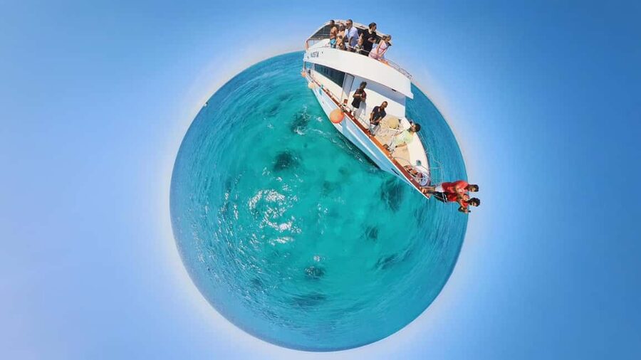 Dolphin Tour with Red Sea Fun. The Best in Hurghada - Key Things To Know Before You Go