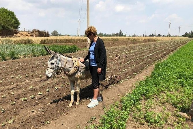 Egypt Day tour in countryside - Key points at a glance