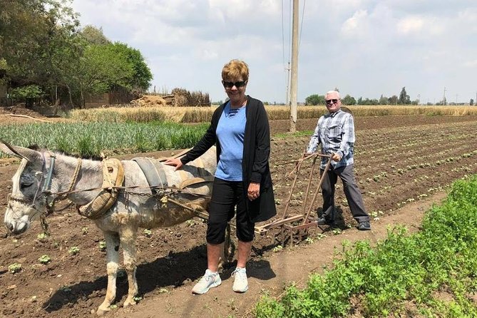 Egypt Day tour in countryside - A Different Cairo Morning: Al Menofyia and Nile Delta Farms