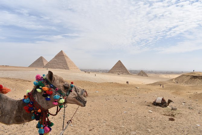 Egypt Tours package for 6 Days - Day 2 in Cairo: Egyptian Museum and Giza, then off to Luxor
