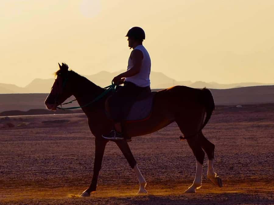 El Gouna: Desert & Sea Horse Riding With Swimming Optional - Riding Hurghada’s Desert and Red Sea From One Saddle