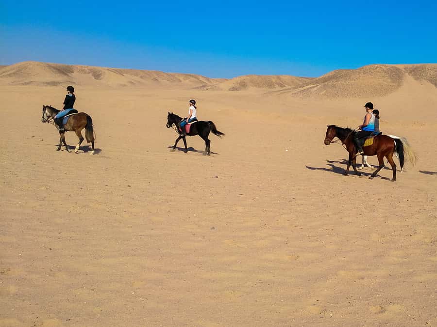 El Gouna: Desert & Sea Horse Riding With Swimming Optional - On Horseback: Sandy Valleys, Desert Plains, and Photo Stops