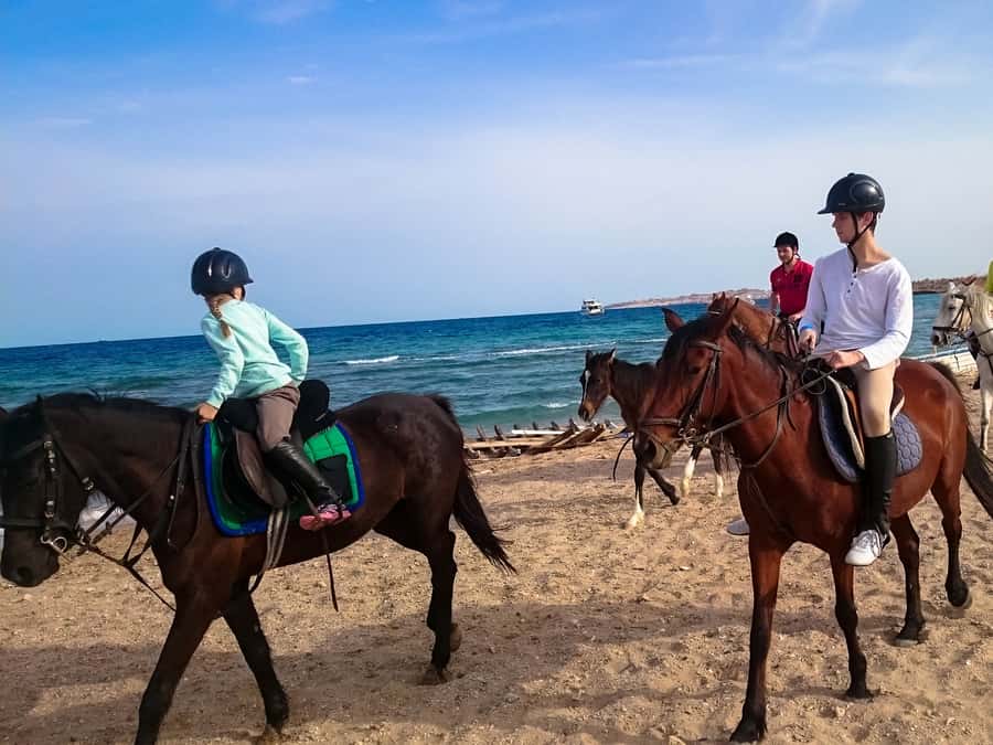 El Gouna: Desert & Sea Horse Riding With Swimming Optional - VIP 4-Hour Ride With Red Sea Swimming Stop